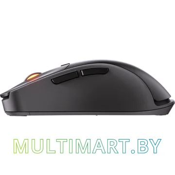 Игровая мышь Cougar Surpassion RX (черный) картинка 6